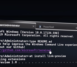 Utiliser cmder dans le Terminal de Windows