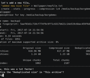 Borg Backup pour sécuriser tes données